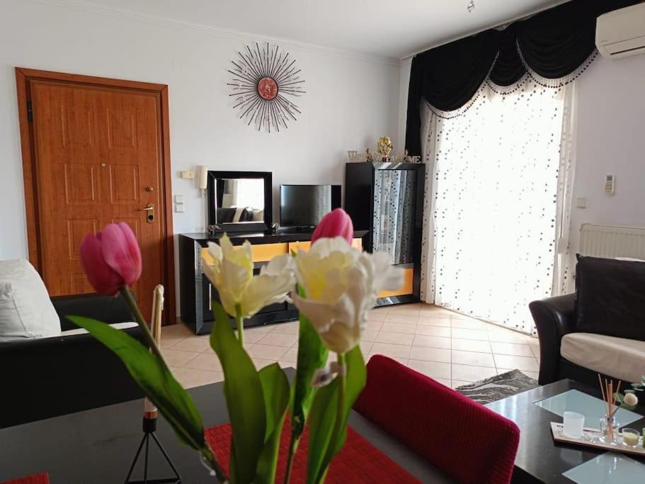 Layla Home Alexandrpoupolis Александроуполис Экстерьер фото